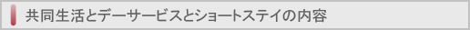 共同生活とデーサービスとショートステイの内容